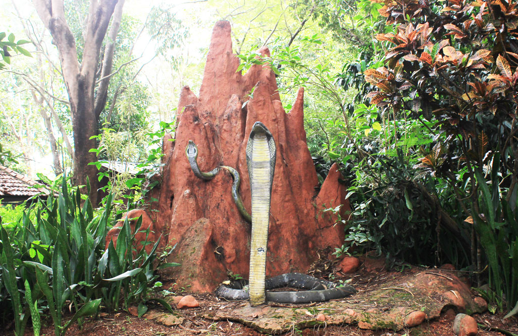 statue of king cobra